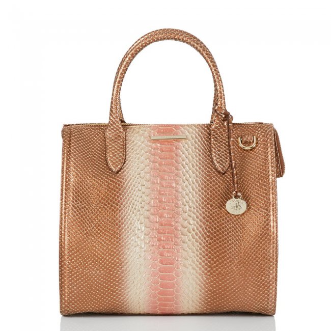 Brahmin Caroline Natural CocoBay ID:Brahmin-203139 Brahmin Caroline Natural CocoBay ID:Brahmin-203139