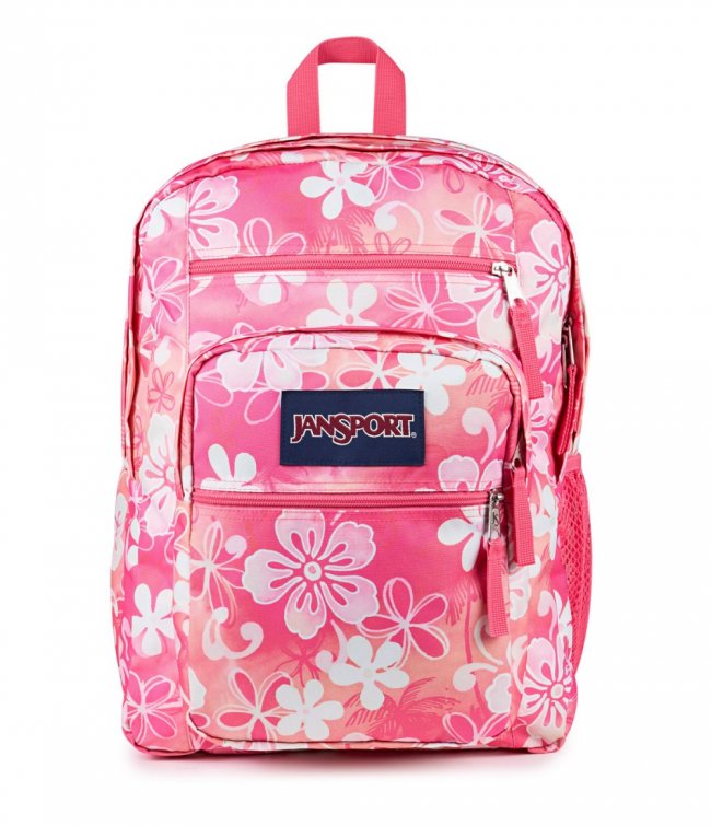 Jansport Big Student - Hiblisscus Jansport Big Student - Hiblisscus